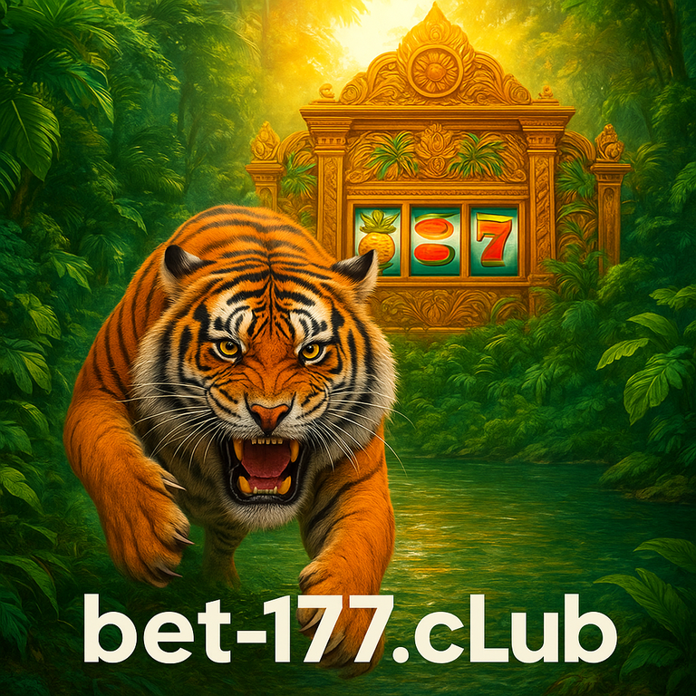 bet177 ভিআইপি স্তর